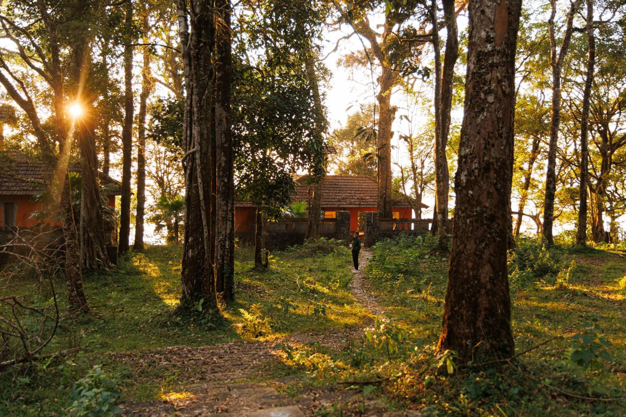 Jungle Park Resort By Greenescapes Vythiri Ngoại thất bức ảnh