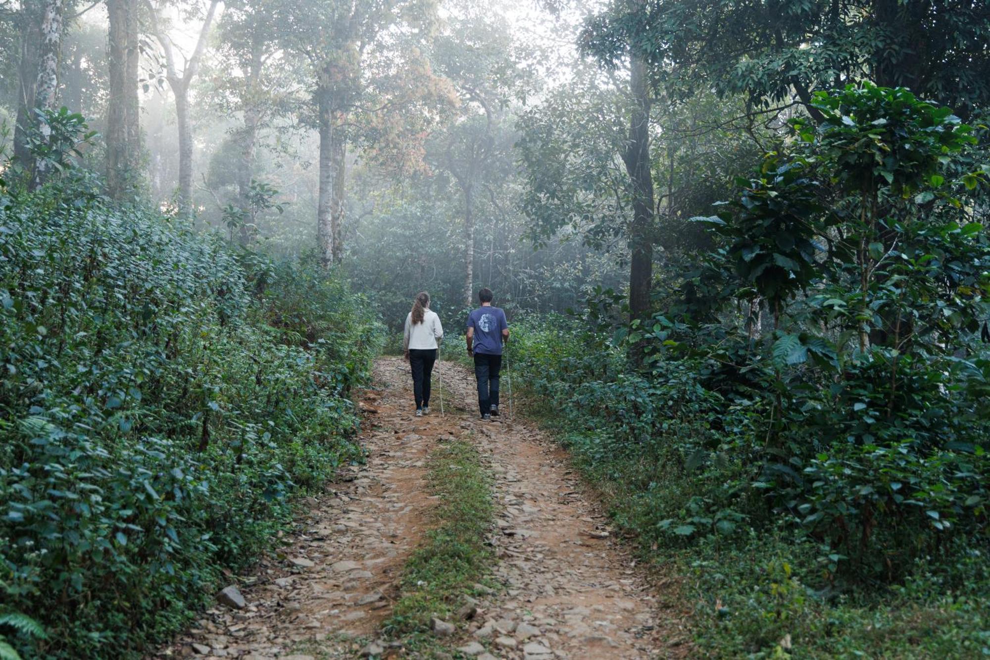 Jungle Park Resort By Greenescapes Vythiri Ngoại thất bức ảnh