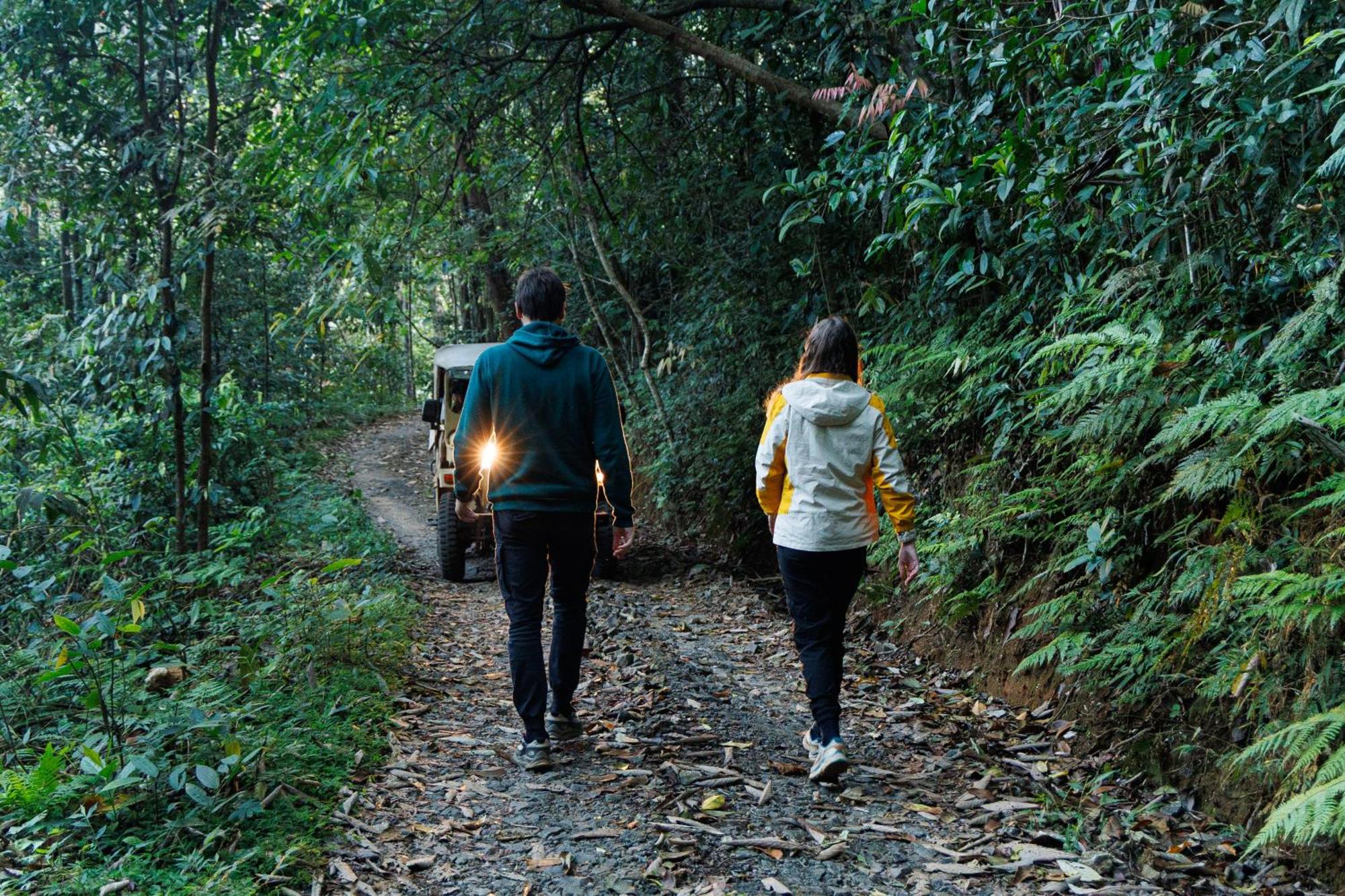 Jungle Park Resort By Greenescapes Vythiri Ngoại thất bức ảnh