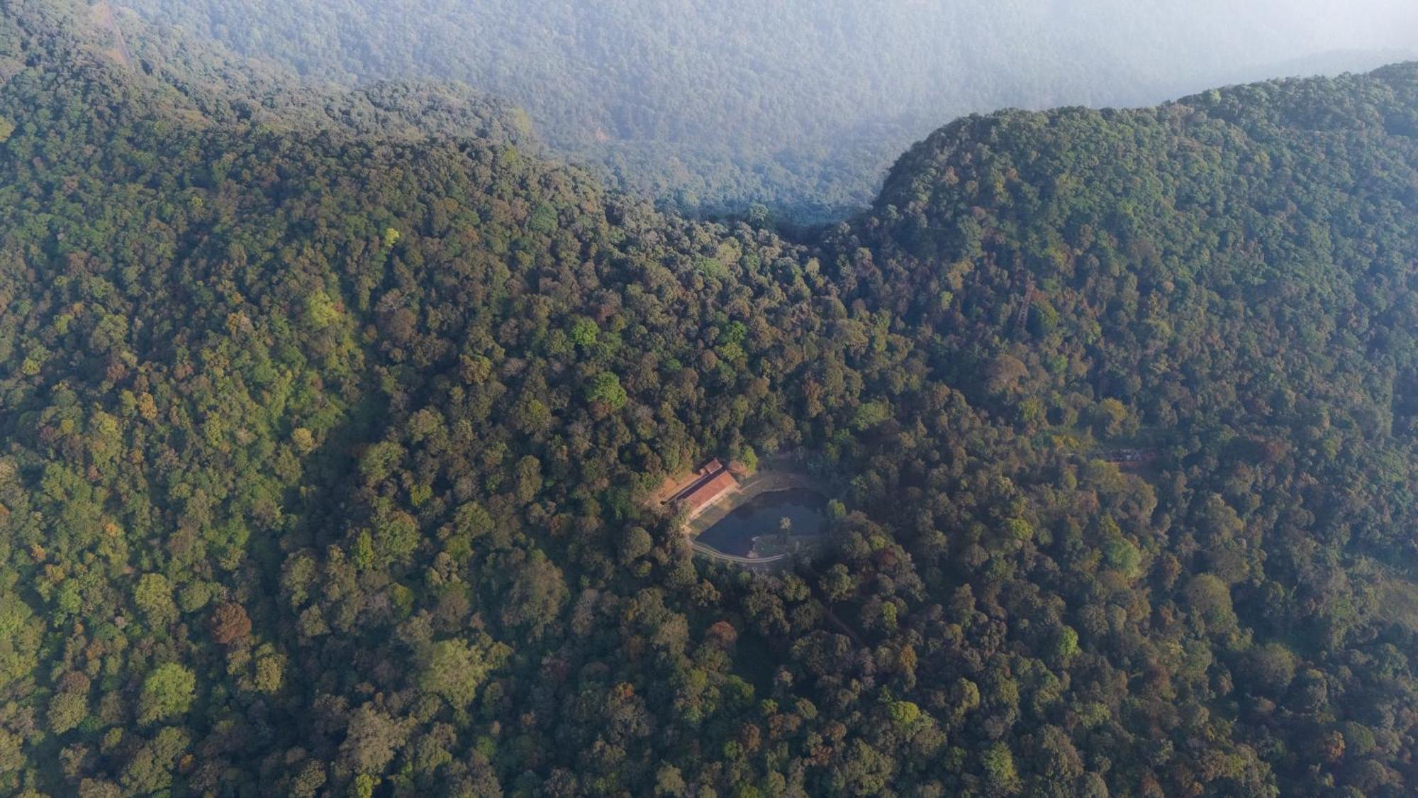 Jungle Park Resort By Greenescapes Vythiri Ngoại thất bức ảnh